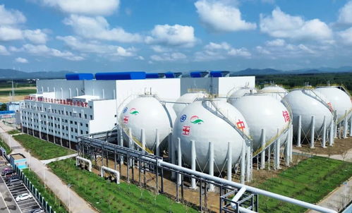 泰安用好關鍵一招，新材料技術驅動發展活力全面釋放