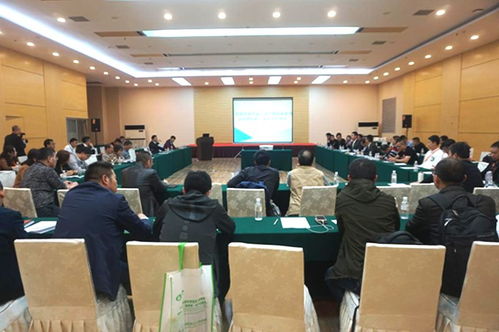 創新驅動，聚勢未來 新材料技術引領塑料行業新變革